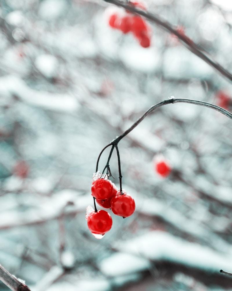 Sådan plejer du dine vinterstøvler - Peti Sko