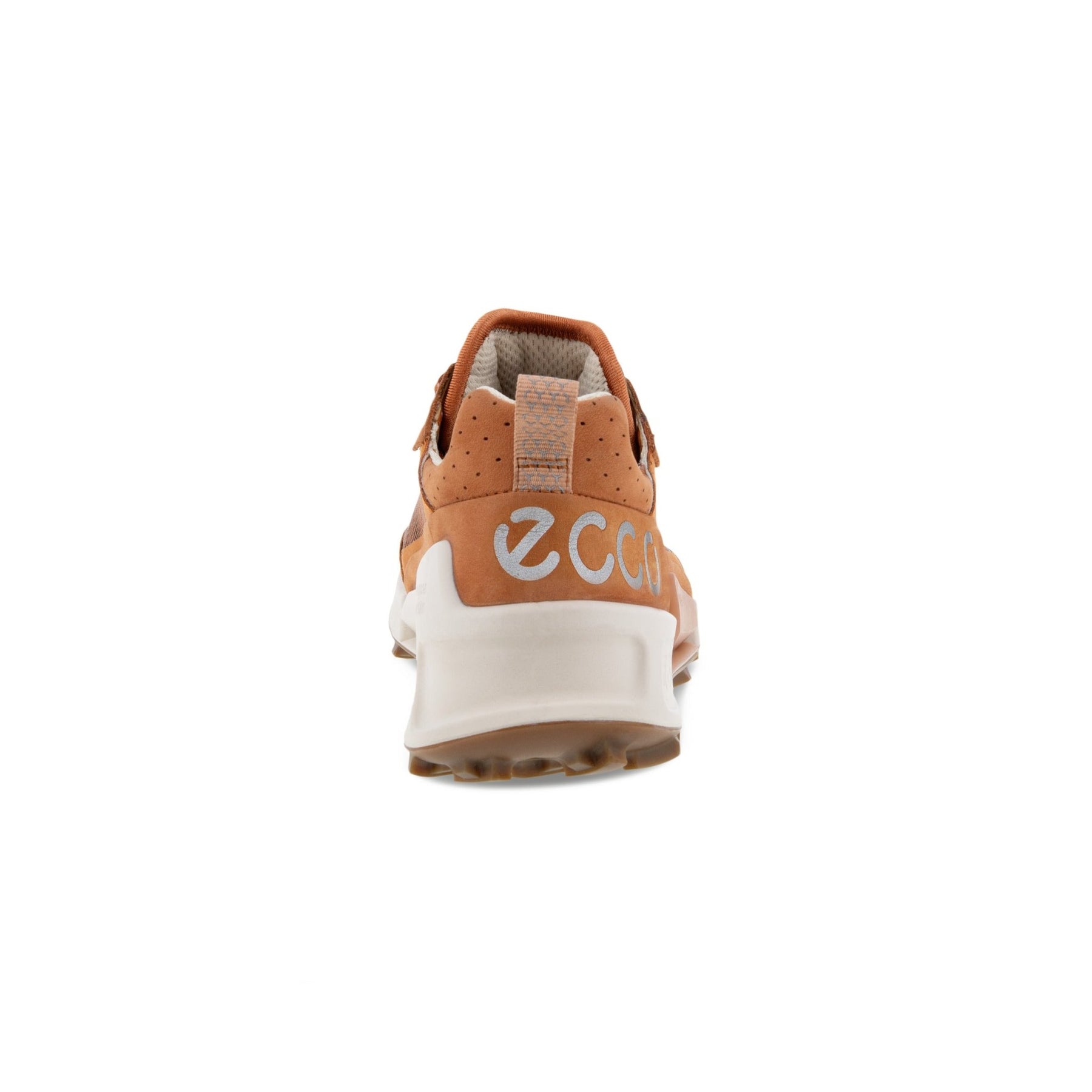 BRUN BIOM 2.1 X MOUNTAIN - Peti Sko - ECCO