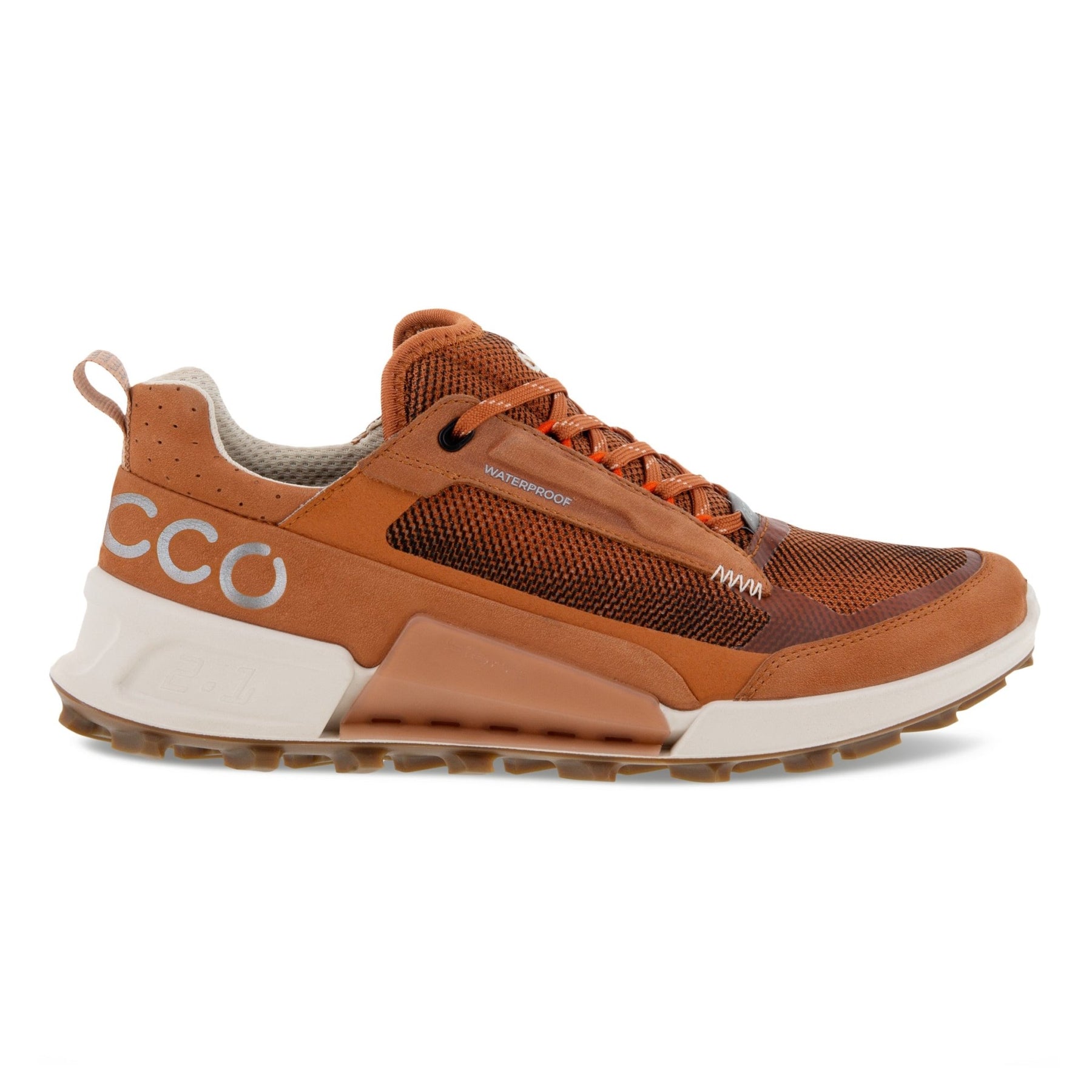 BRUN BIOM 2.1 X MOUNTAIN - Peti Sko - ECCO