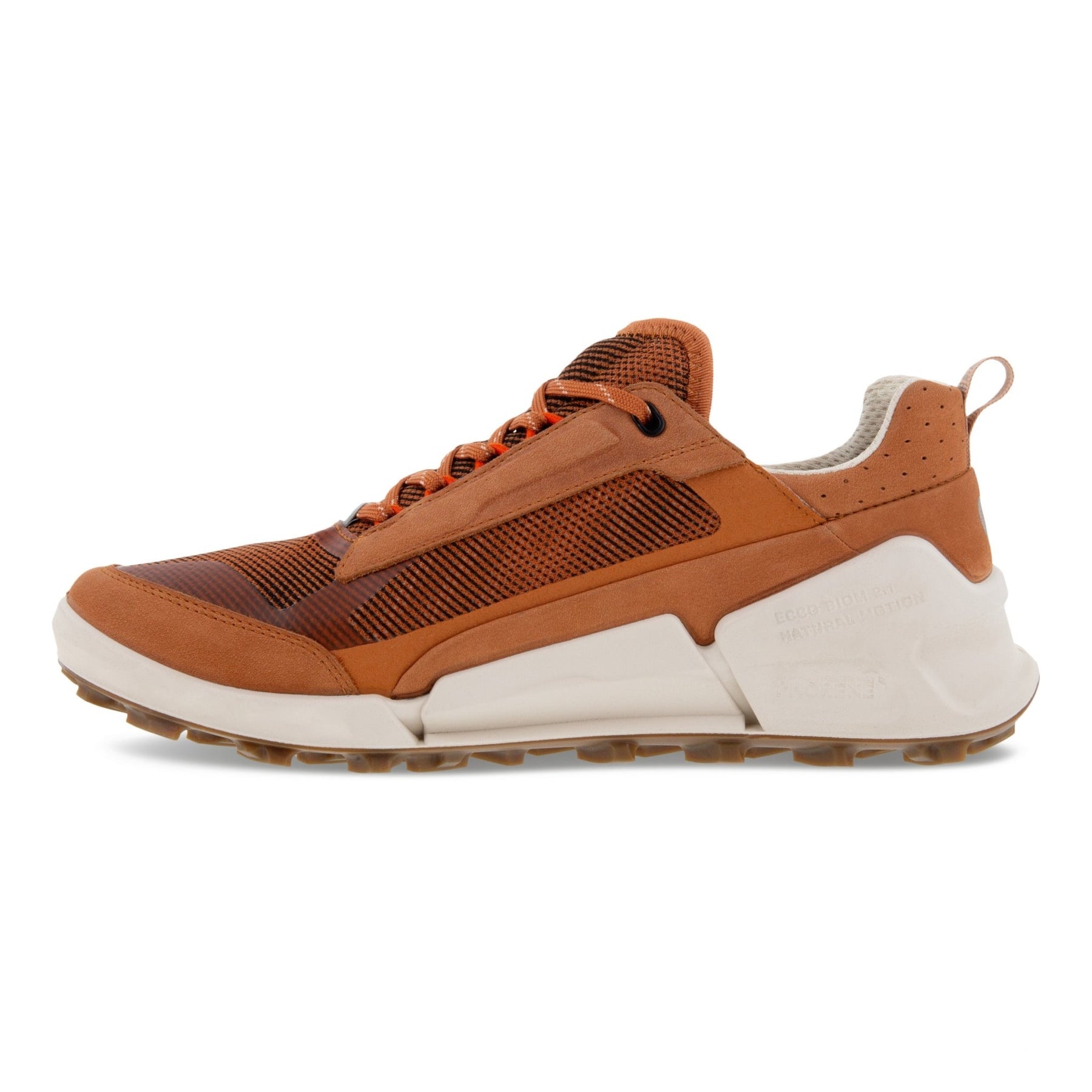 BRUN BIOM 2.1 X MOUNTAIN - Peti Sko - ECCO