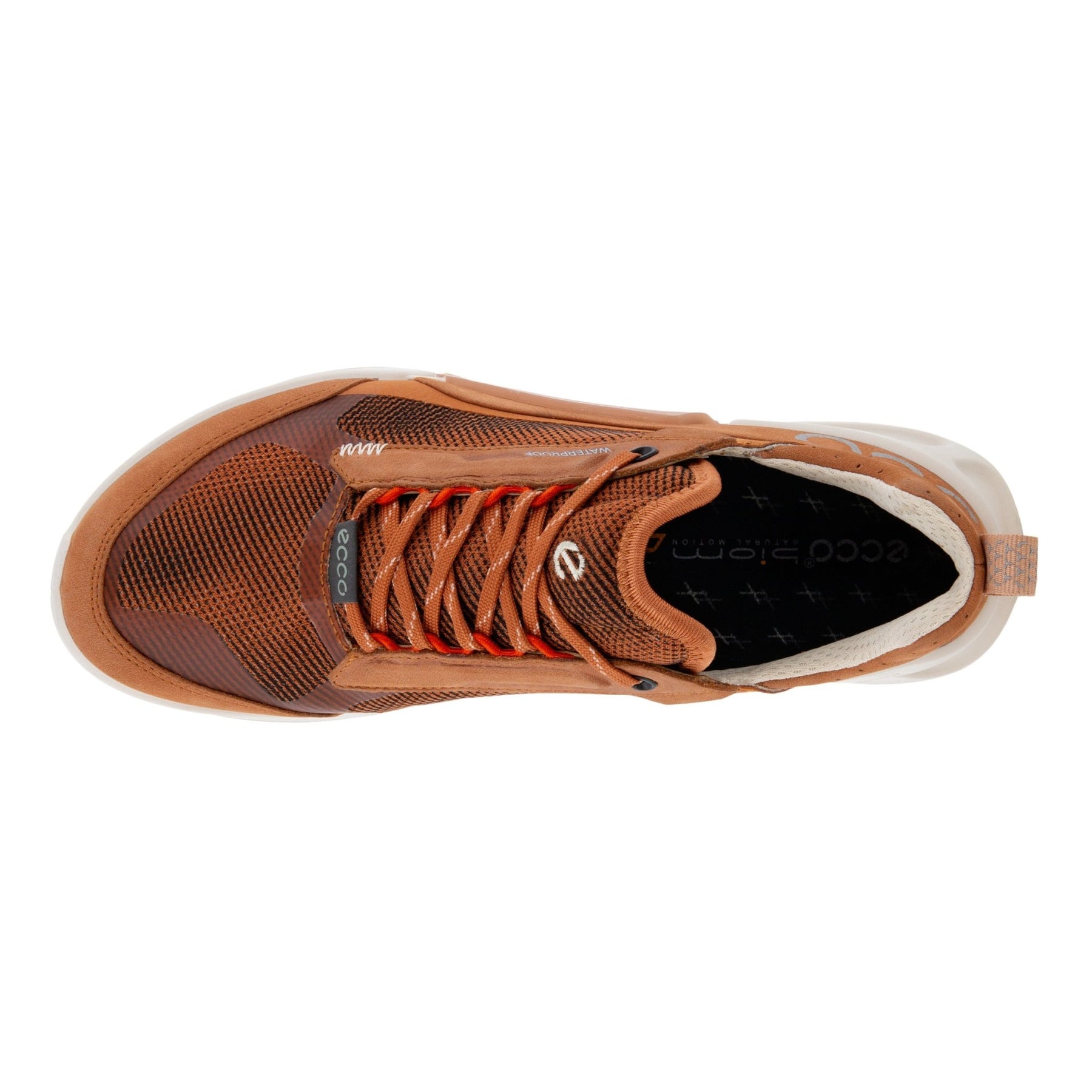 BRUN BIOM 2.1 X MOUNTAIN - Peti Sko - ECCO