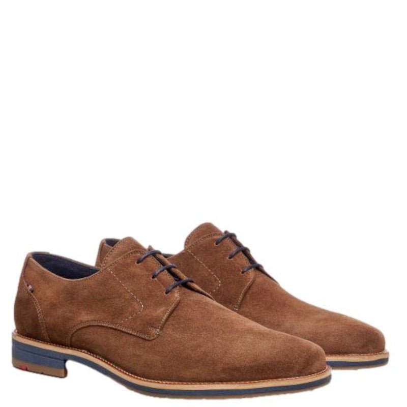 BRUN LANGSTON SKO - Peti Sko - LLOYD