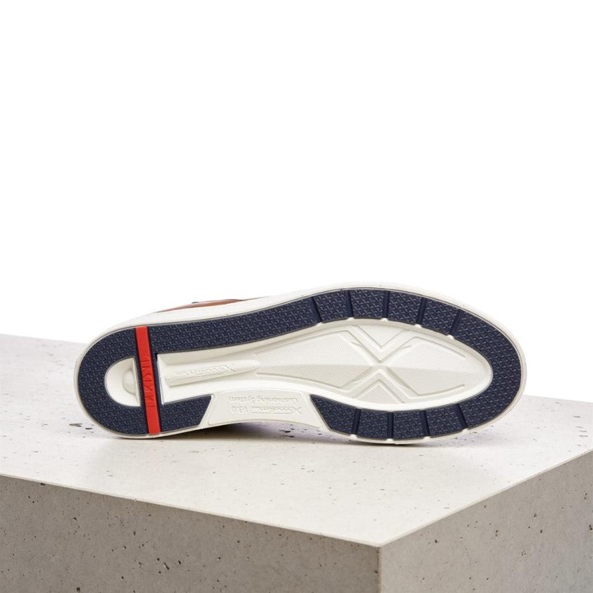 BRUN MAJURO SNEAKER - Peti Sko - LLOYD