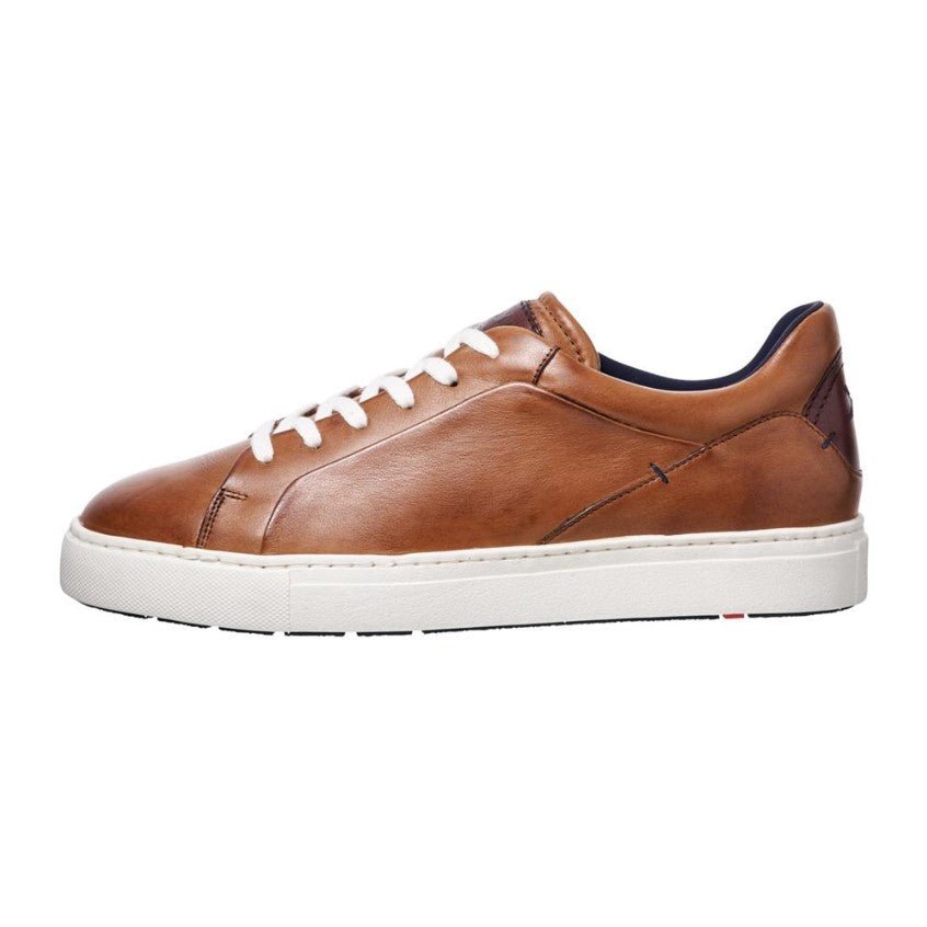 BRUN MAJURO SNEAKER - Peti Sko - LLOYD