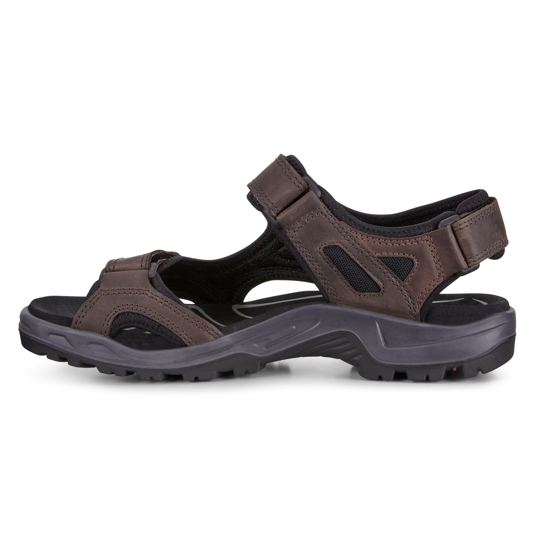 BRUN RECEPTOR SANDAL - Peti Sko - ECCO
