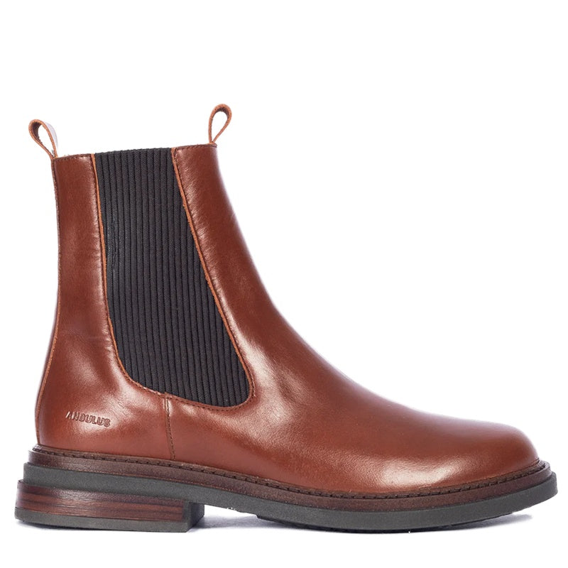 Angulus 7830 Støvle Dame Brun