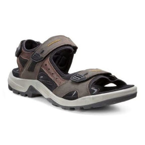 BRUN RECEPTOR SANDAL - Peti Sko - ECCO